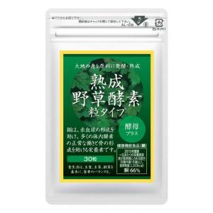 酵素 サプリメント サプリ 熟成 野草酵素粒タイプ 90粒×2袋セット 約60