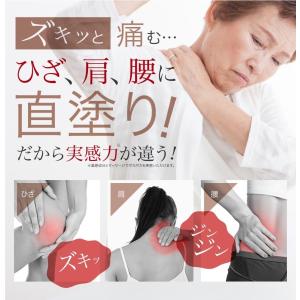 グルコサミン10倍 塗るグルコサミン コンドロ...の詳細画像2