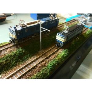 トミックス 【春の大特価】鉄道模型 ジオラマ展示台 Nゲージ用 ケース