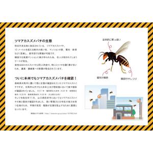 冷却ファン付/フルハーネス対応 蜂防護服 新ホ...の詳細画像2