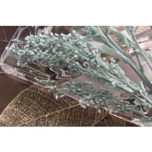 ソリダゴ ミストグリーン 花材 小分け 1本 送...の商品画像