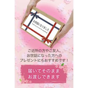 退職 お礼 引っ越し ご挨拶 プチギフト お菓...の詳細画像4