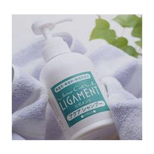 wamiles（ワミレス） ベレッサ シャンプー クリアモイスト 500ml