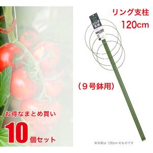 リング支柱 120cm （9号鉢用） 10個セット [まとめ買い] [業務用] 朝顔 エンドウ ナス トマト キュウリ つる性植物 園芸 農業 資材 ガーデニング FS-4-120-SET｜j-styledepot