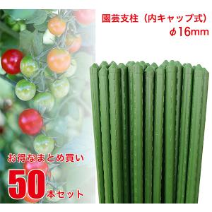 園芸支柱 16mm×120cm 50本セット