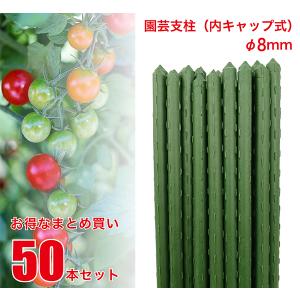 園芸支柱 8mm×長さ150cm 50本 セット (まとめ買い) (配送地域限定商品