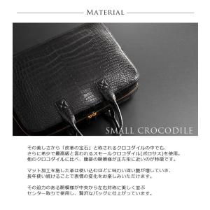 クロコダイルバッグcrocodile クロコダ...の詳細画像1