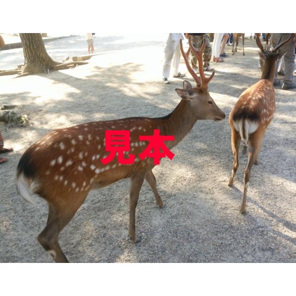 世界に一つだけのキャンバス調アートパネル製作　A1 841×594×20mm