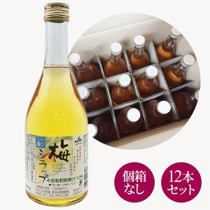 梅シラップ 590g 紀州梅100％ 梅ジュース 原液 濃縮タイプ 梅ジュース