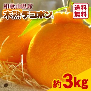 JA紀南 みかん 木熟 デコポン 約5kg 18〜20玉入り 1箱 秀品 送料無料