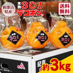 JA紀南 みかん 木熟 デコポン 約5kg 18〜20玉入り 1箱 秀品 送料無料