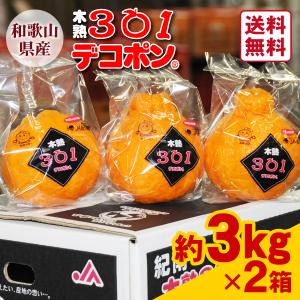 JA紀南 みかん 木熟 デコポン 約5kg 18〜20玉入り 1箱 秀品 送料無料