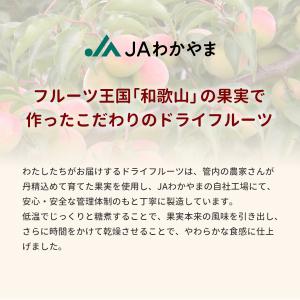 ドライフルーツ南高梅 20g 和歌山県産 紀州...の詳細画像5