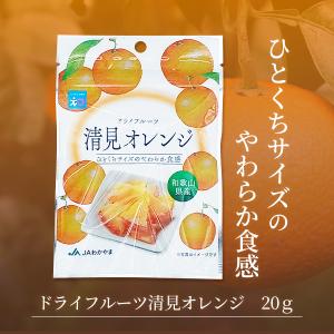 ドライフルーツ清見オレンジ 20g 和歌山県産...の詳細画像3