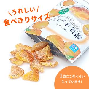 ドライフルーツ清見オレンジ 20g 和歌山県産...の詳細画像4