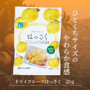 ドライフルーツはっさく 20g 和歌山県産 八...の詳細画像3