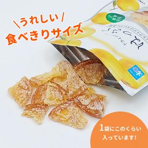 ドライフルーツはっさく 20g 和歌山県産 八...の詳細画像4
