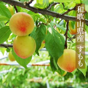 ドライフルーツすもも 20g 和歌山県産 スモ...の詳細画像1