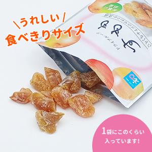 ドライフルーツすもも 20g 和歌山県産 スモ...の詳細画像4