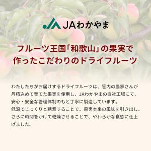 ドライフルーツすもも 20g 和歌山県産 スモ...の詳細画像5