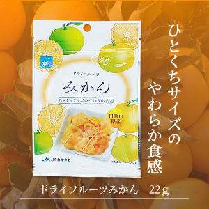 ドライフルーツみかん 22g 和歌山県産 ミカ...の詳細画像3