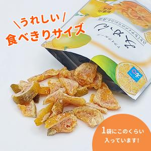 ドライフルーツみかん 22g 和歌山県産 ミカ...の詳細画像4