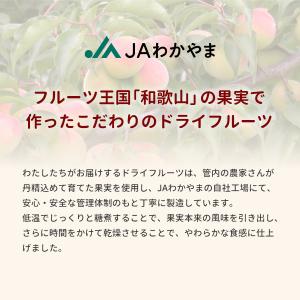 ドライフルーツみかん 22g 和歌山県産 ミカ...の詳細画像5