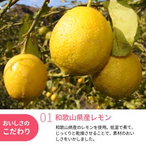 ドライフルーツレモン 22g 和歌山県産 檸檬...の詳細画像1