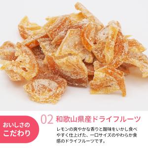 ドライフルーツレモン 22g 和歌山県産 檸檬...の詳細画像2