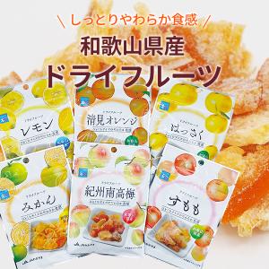 ドライフルーツレモン 22g 和歌山県産 檸檬...の詳細画像4