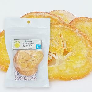 和歌山県産　輪切り果実　ドライフルーツはっさく　65g　国産ドライフルーツ　八朔　お菓子　JA紀南　JAわかやま