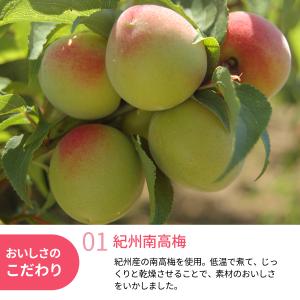 和歌山県産 丸ごと果実 ドライフルーツ紀州南高...の詳細画像1