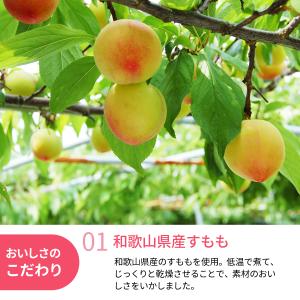 和歌山県産 国産果実 ドライフルーツすもも 5...の詳細画像1