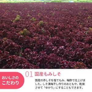 国産もみしそ 500g 赤しそ 赤紫蘇 紫蘇 ...の詳細画像1