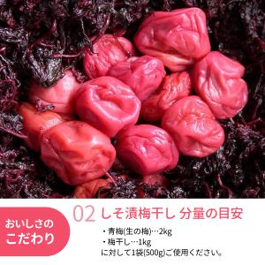 国産もみしそ 500g 赤しそ 赤紫蘇 紫蘇 ...の詳細画像2
