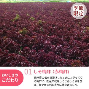 紫蘇で酢 「しそです」 950g 季節・数量限...の詳細画像1