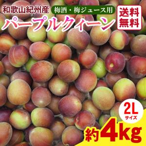 ※販売数量調整中/再販未定※ 梅酒用・梅ジュース用