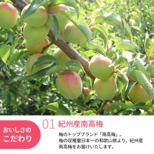 氷梅 冷凍南高梅 梅酒用・梅ジュース用 500...の詳細画像1