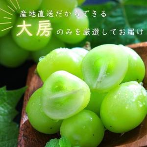 ぶどう シャインマスカット 【秀品】約2kg(...の詳細画像2