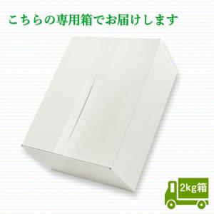 ぶどう シャインマスカット 【秀品】約2kg(...の詳細画像3