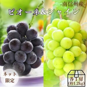 ぶどう ピオーネ&シャインマスカットMIX 約1...の商品画像