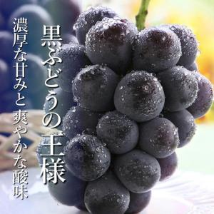 ぶどう ピオーネ&シャインマスカットMIX 約...の詳細画像1