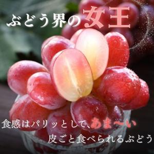 ぶどう シャインマスカット&クイーンルージュM...の詳細画像2