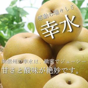 梨 幸水 【太鼓判】中玉約2.2kg(7玉) ...の詳細画像1