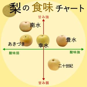 梨 幸水 【太鼓判】中玉約2.2kg(7玉) ...の詳細画像4