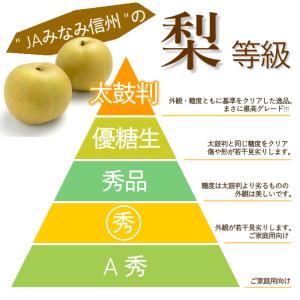 梨 幸水 【太鼓判】中玉約2.2kg(7玉) ...の詳細画像3