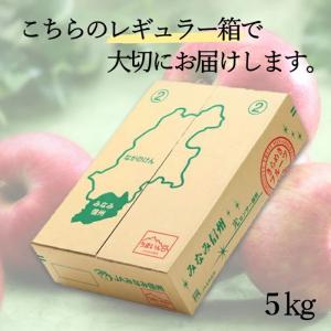 りんご シナノスイート【秀品】約5kg(12〜...の詳細画像1