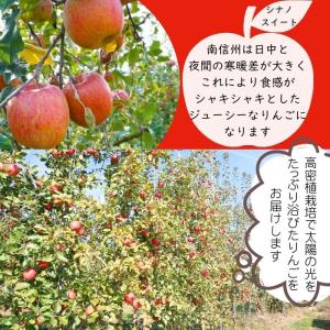 りんご シナノスイート【秀品】約5kg(12〜...の詳細画像2