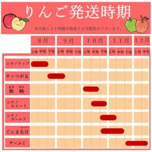 りんご シナノスイート【秀品】約5kg(12〜...の詳細画像3