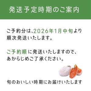 干し柿 市田柿 化粧箱 個包装 15粒(約42...の詳細画像2